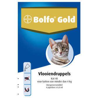 Bolfo Gold Kat 40