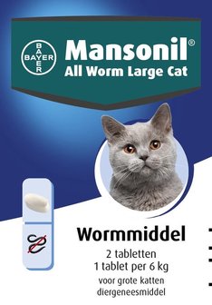 Mansonil Large Cat