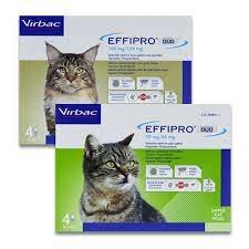 Effipro Kat