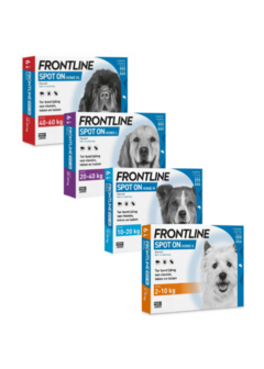 Frontline Spot-On Hond