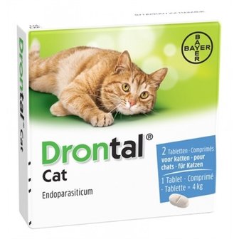 Drontal Cat