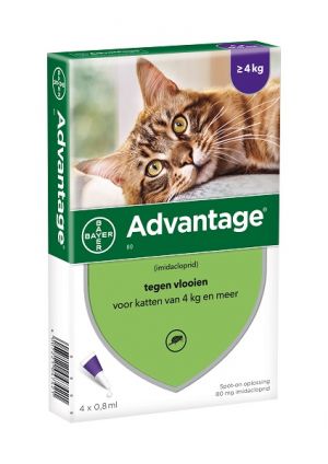 Advantage kat 80 | Bestrijdt vlooien effectief Scherp geprijsd - DocVet voor Hond & Kat