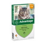 Verpakkinf van Advantage kat 40 voor kleine katten tot 4 kg