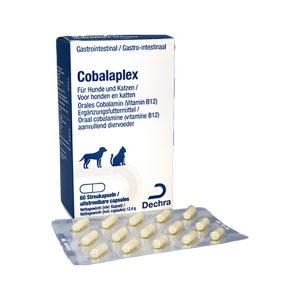 Cobalaplex 60 stuks kat hond vitamine b12