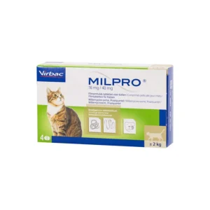 Milpro kat